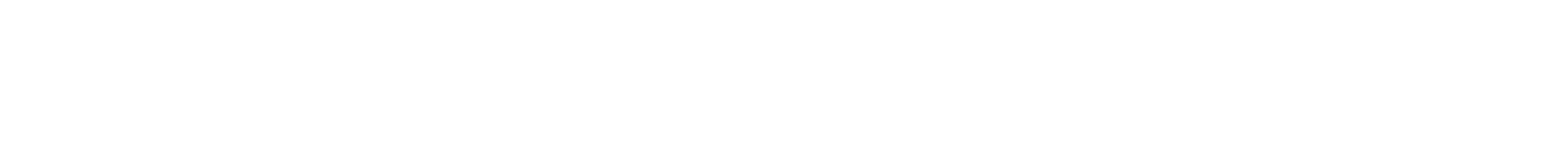 Network School